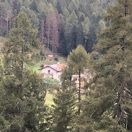 B&B Le Stagioni Di Stava Tesero Dış mekan fotoğraf