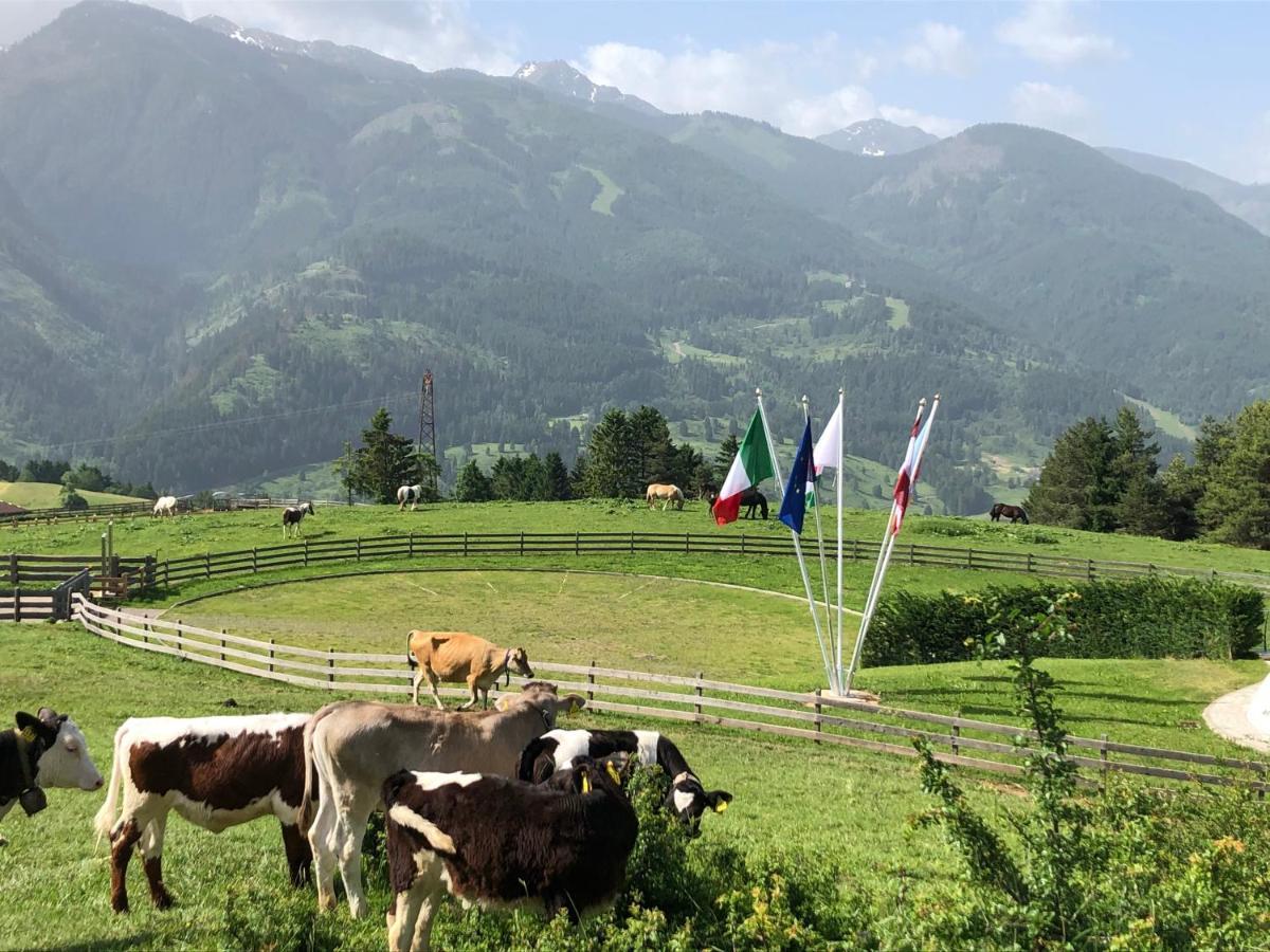 B&B Le Stagioni Di Stava Tesero Dış mekan fotoğraf