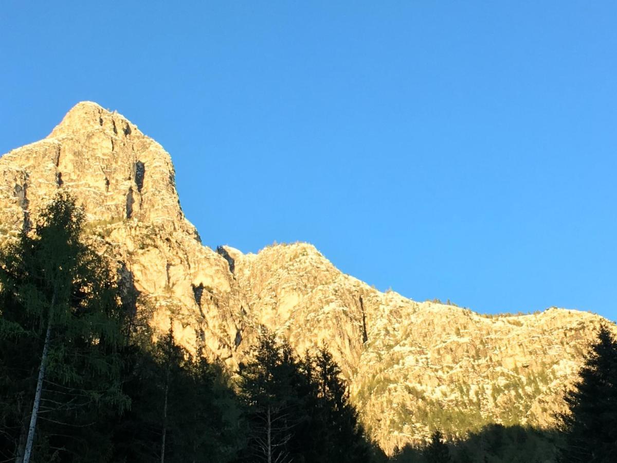 B&B Le Stagioni Di Stava Tesero Dış mekan fotoğraf