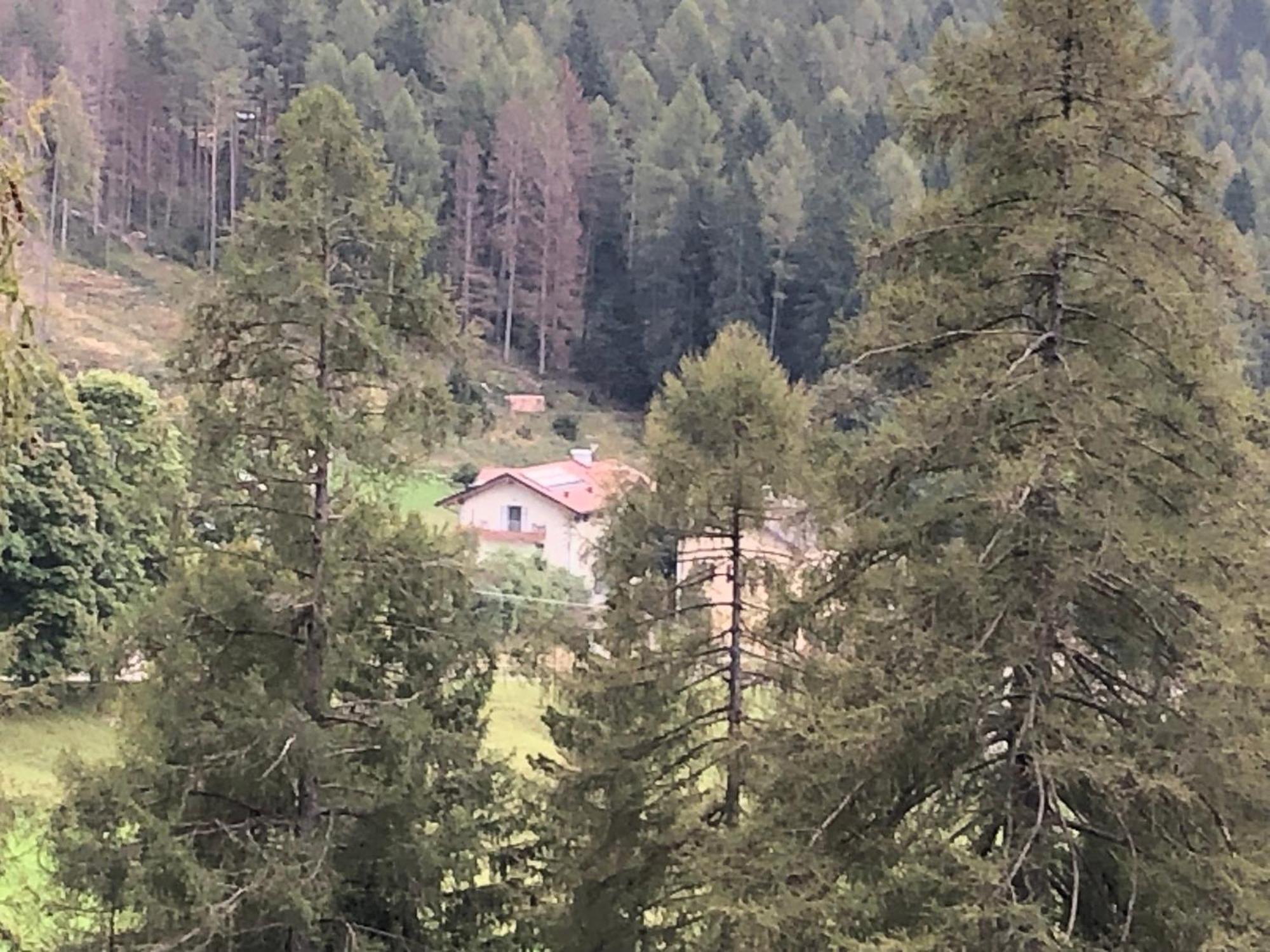 B&B Le Stagioni Di Stava Tesero Dış mekan fotoğraf