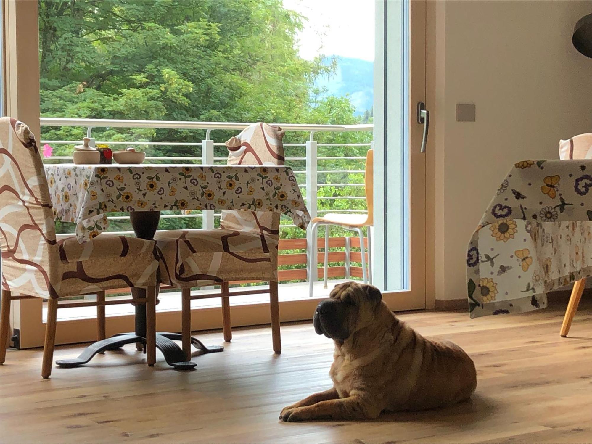 B&B Le Stagioni Di Stava Tesero Dış mekan fotoğraf